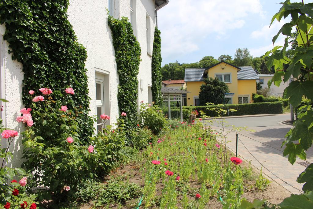 Baltisches Haus Pension Moll Zinnowitz Ngoại thất bức ảnh
